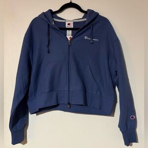 Champion Gray Blue Cropped Hoodie